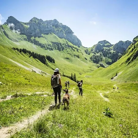Appartement For 6 People In Châtel